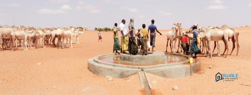 People collecting water from hand-dug well for people and livestock