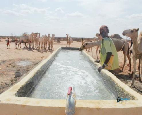 Newly constructed animal trough