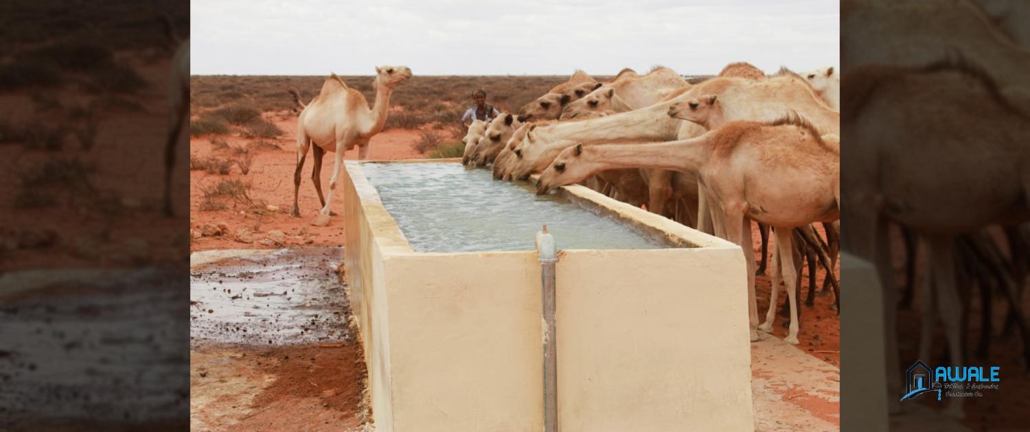 Watar trough and animal drinking, constructed by awale drilling company